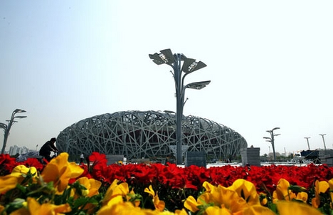 The Bird's Nest