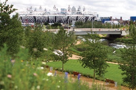 The Olympic park