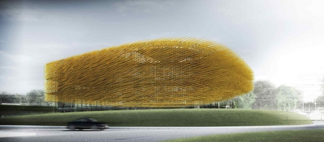 The Hedgehog