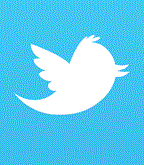 twitter logo gif 256 large