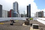 Rooftop Garden on top of the Schieblock. With the help of Rooftop Farmer Annelies Kuipers, fruit and vegetables will grow here, and bees will buzz around their hives.