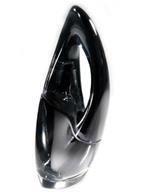 Zaha Hadid's DKNY perfume bottle
