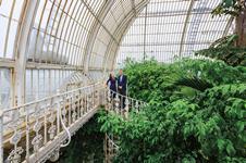 David Marks and Julia Barfield's inspiration: Palm House, Royal Botanic Gardens, Kew