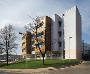 Cedar slats and render give a bright finish.