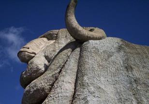 Big Merino3