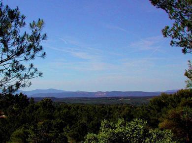 Haut Var region of Provence