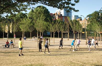 Albizia julibrissin trees are planted in a grid across the park.