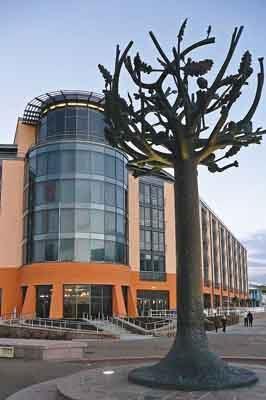 The Radisson Hotel Jersey was 2008's Carbuncle Cup winner