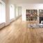 At Bedford Girls’ School Archial Architects specified Karndean Designflooring’s Van Gogh, Auckland Oak and inlaid a compass-style centrepiece.
