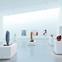 The galleries are lit by recessed lightwells.