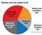 Data brief