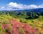 Cevennes National Park
